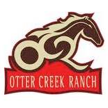 OCRLogo
